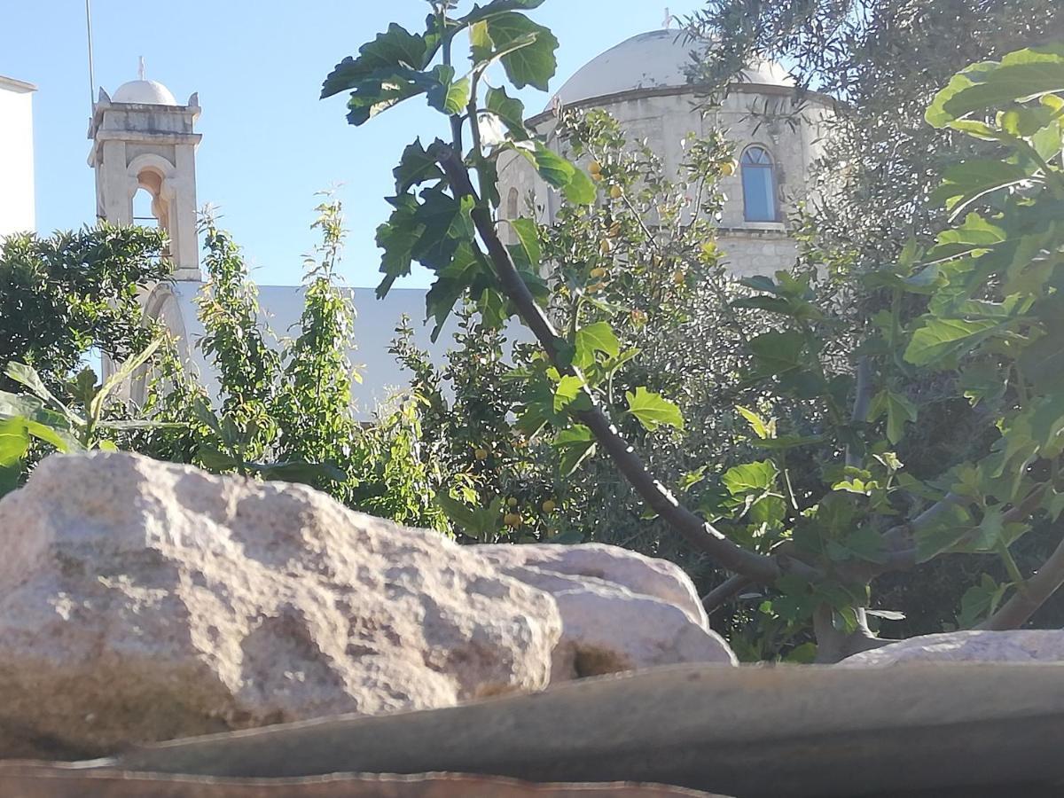 Penzion Kaizer Agrotourism Amargeti Exteriér fotografie