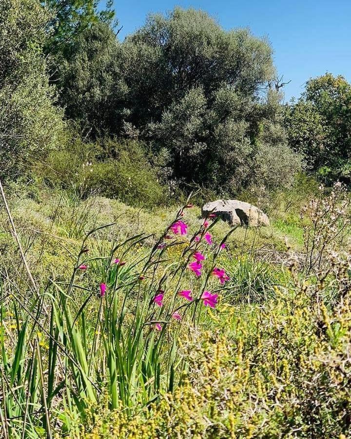 Penzion Kaizer Agrotourism Amargeti Exteriér fotografie