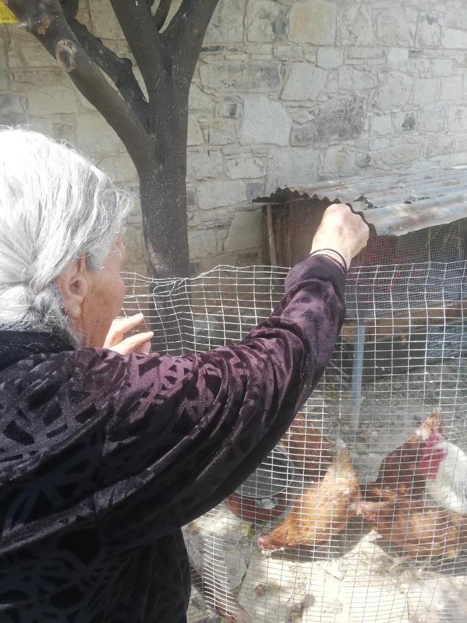 Penzion Kaizer Agrotourism Amargeti Exteriér fotografie