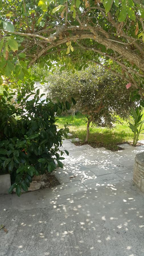 Penzion Kaizer Agrotourism Amargeti Exteriér fotografie