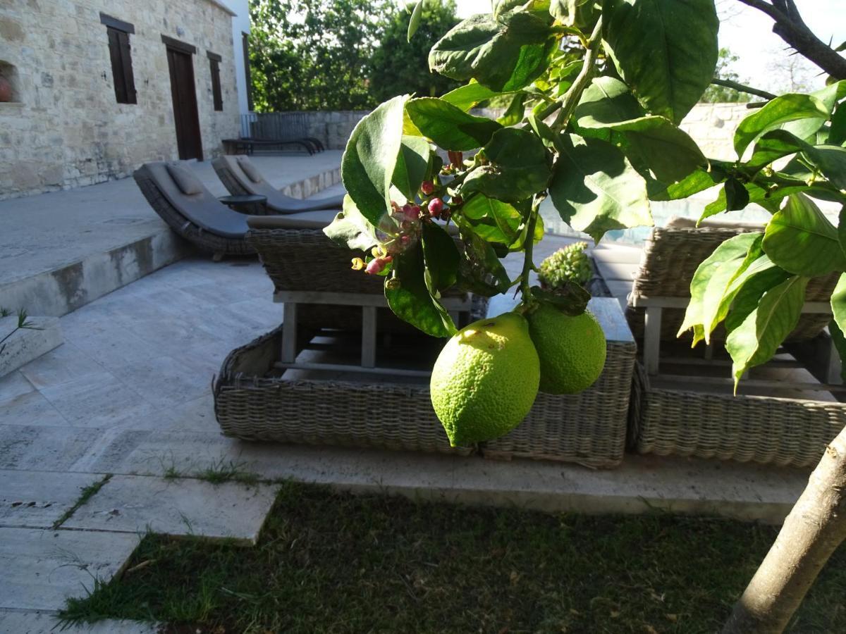 Penzion Kaizer Agrotourism Amargeti Exteriér fotografie